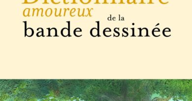 peeters dictionnaire amoreux